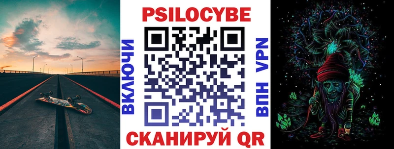 дарнет шоп  Жирновск  hydra рабочий сайт  Псилоцибиновые грибы Psilocybe 